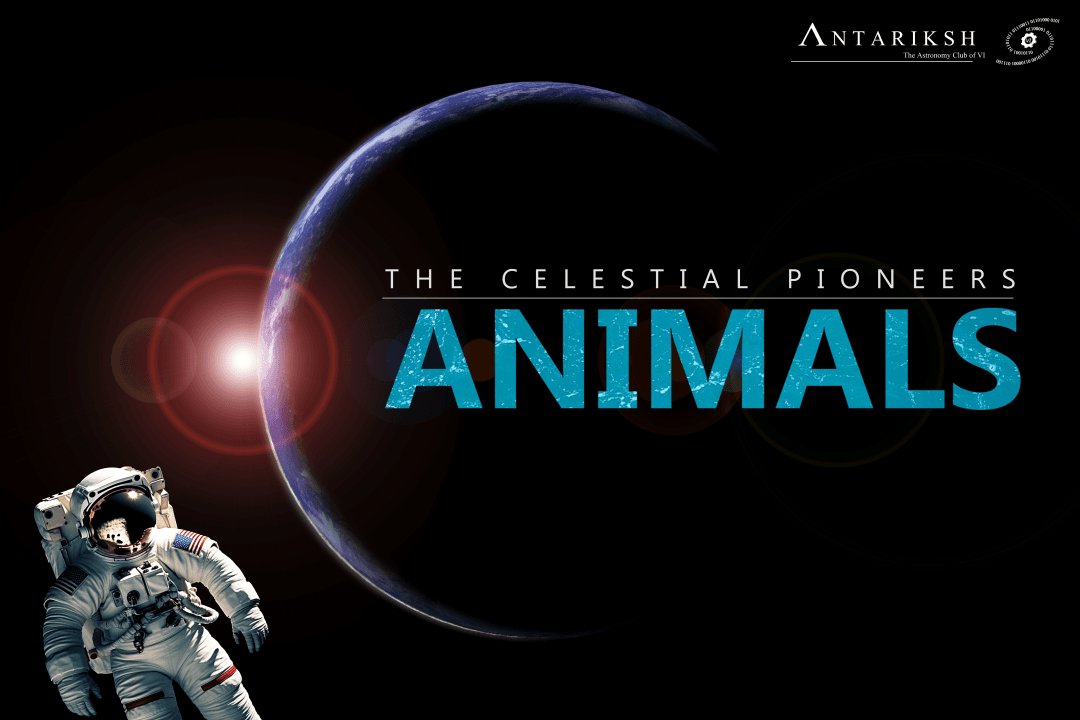 The Celestial Pioneers : ANIMALS